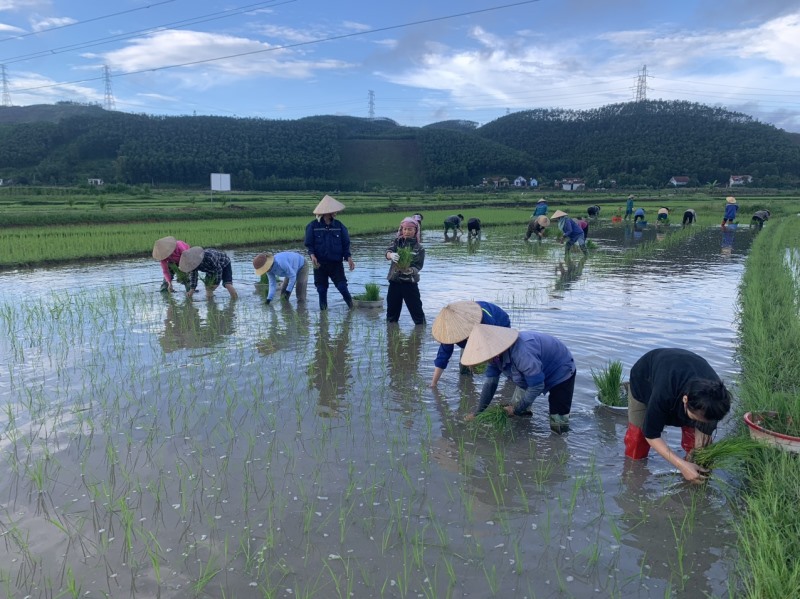 Hội phụ nữ xã Dân Chủ phát động phong trào giúp đỡ hội viên có hoàn cảnh đặc biệt khó khăn